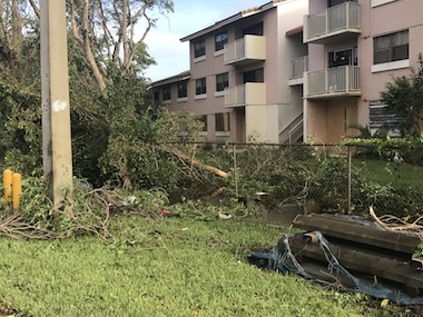 Debris and Water in Miami Lakes Shoma Homes After Hurricane Irma